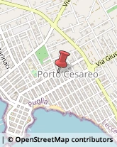 Consulenza del Lavoro Porto Cesareo,73010Lecce