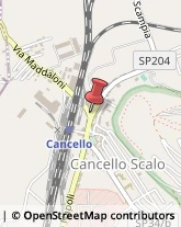 ,81027Caserta