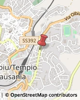 Falegnami Tempio Pausania,07029Olbia-Tempio