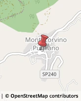 Farmacie Montecorvino Pugliano,84090Salerno