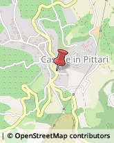 Piante e Fiori - Dettaglio Caselle in Pittari,84030Salerno