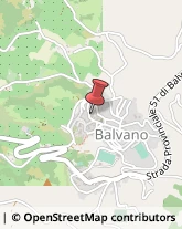 Aziende Agricole Balvano,85050Potenza