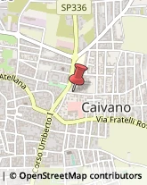 Pollame, Conigli e Selvaggina - Ingrosso Caivano,80023Napoli