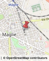 Maglieria - Dettaglio,73024Lecce