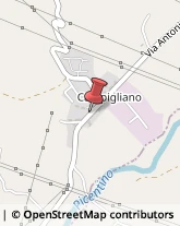 Amministrazioni Immobiliari San Cipriano Picentino,84099Salerno