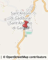Aziende Agricole Sant'Antonio di Gallura,07030Olbia-Tempio