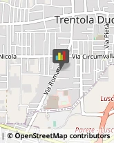 Articoli da Regalo - Dettaglio Trentola-Ducenta,81038Caserta