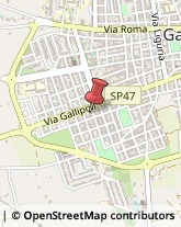 Tipografie Galatina,73013Lecce