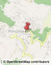 Piante e Fiori - Dettaglio Pimonte,80050Napoli