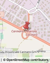 ,81032Caserta