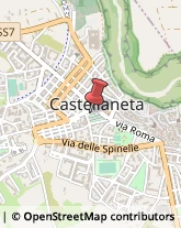 Animali Domestici - Toeletta Castellaneta,74011Taranto