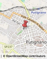 Notai Putignano,70017Bari