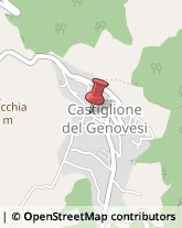 Bar e Caffetterie Castiglione del Genovesi,84090Salerno