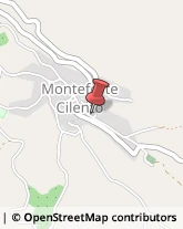 Scuole Pubbliche Monteforte Cilento,84060Salerno