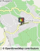 Motels Torre Orsaia,84077Salerno