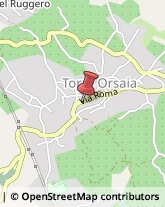 Motels Torre Orsaia,84077Salerno