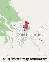 Autotrasporti Savoia di Lucania,85050Potenza