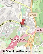 Società di Telecomunicazioni Napoli,80131Napoli
