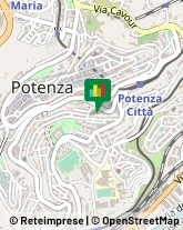 Pollame, Conigli e Selvaggina - Dettaglio Potenza,85100Potenza