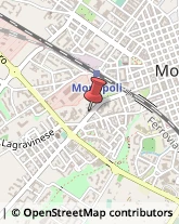 Modelli e Plastici Monopoli,70043Bari