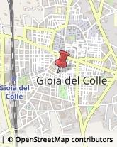 Palestre e Centri Fitness Gioia del Colle,70023Bari