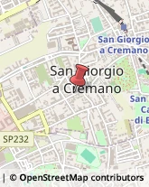 Piante e Fiori - Dettaglio San Giorgio a Cremano,80046Napoli