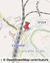 Ortofrutticoltura San Felice a Cancello,81027Caserta