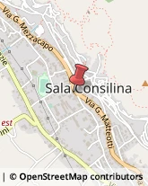 Librerie Sala Consilina,84036Salerno