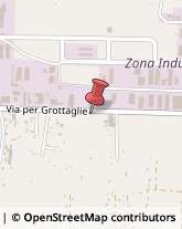 Agricoltura - Attrezzi e Forniture,72021Brindisi