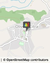 Comuni e Servizi Comunali Oliveto Citra,84020Salerno