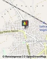 Concimi e Fertilizzanti Salice Salentino,73015Lecce