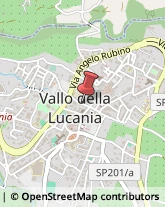 Librerie Vallo della Lucania,84078Salerno