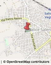 Aziende Agricole Salice Salentino,73015Lecce