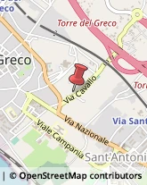 Scuole e Corsi per Corrispondenza e Teledidattica Torre del Greco,80059Napoli