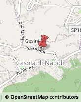 Giornalisti Casola di Napoli,80050Napoli