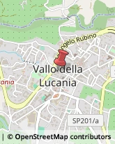 Sartorie Vallo della Lucania,84078Salerno