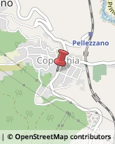 Pizzerie Pellezzano,84080Salerno
