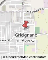 Associazioni Sindacali Gricignano di Aversa,81030Caserta