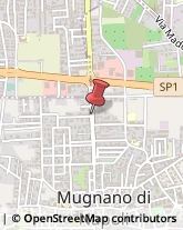 Scuole Materne Private Mugnano di Napoli,80018Napoli