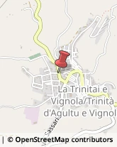 Abbigliamento Trinità d'Agultu e Vignola,07038Olbia-Tempio