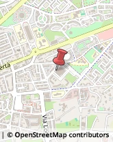 Articoli per Ortopedia Lecce,73100Lecce