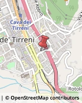 Piante e Fiori - Dettaglio Cava de' Tirreni,84013Salerno