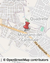 Locali, Birrerie e Pub Mugnano del Cardinale,83027Avellino