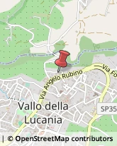Tabaccherie Vallo della Lucania,84078Salerno