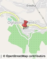 Agenti e Rappresentanti di Commercio Ogliastro Cilento,84061Salerno