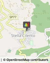 Farmacie Stella Cilento,84070Salerno