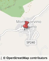 Importatori ed Esportatori Montecorvino Pugliano,84090Salerno