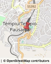 Paste Alimentari - Produzione Tempio Pausania,07029Olbia-Tempio