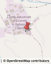 Abbigliamento in Pelle - Produzione Ogliastro Cilento,84061Salerno