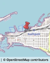 Organizzazioni, Associazioni ed Enti Internazionali Gallipoli,73014Lecce